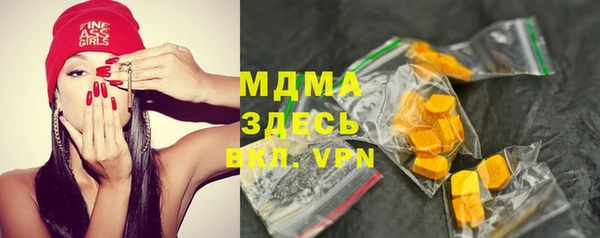 индика Абаза