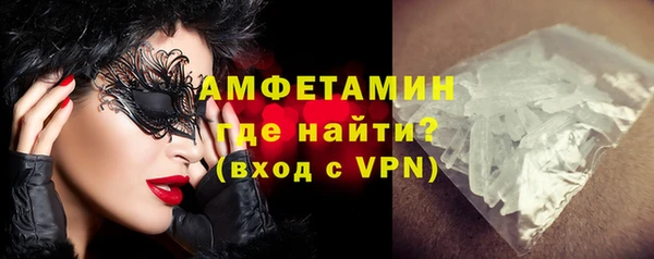 сатива Ельня