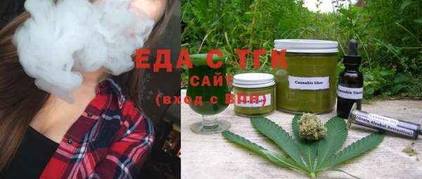 индика Абаза