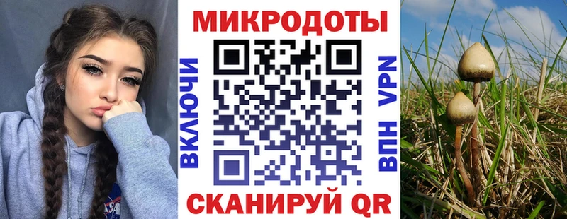 купить наркоту  маркетплейс клад  Галлюциногенные грибы прущие грибы  Приморско-Ахтарск 